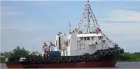 Tow boat pikeun dijual