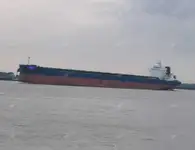Pamawa bulk pikeun dijual