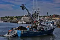 Kapal purse seiner keur dijual