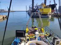 Tow boat pikeun dijual