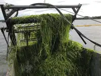 Kapal tangki cai bilga keur dijual