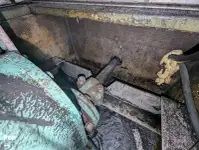 Kapal pesiar-feri keur dijual