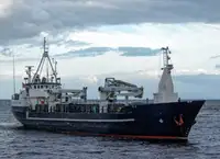 Pamawa bulk pikeun dijual