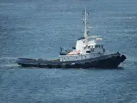 Tow boat pikeun dijual