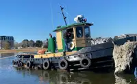 Tow boat pikeun dijual