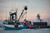 Kapal purse seiner keur dijual
