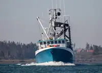 Kapal purse seiner keur dijual