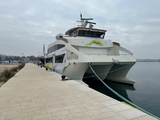 Catamaran for sale