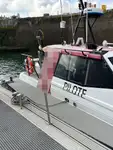 Kapal pilot keur dijual