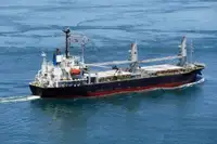 Pamawa bulk pikeun dijual