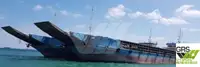 Karajinan badarat, tank pikeun dijual