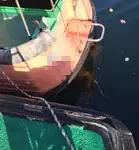 Kapal pilot keur dijual