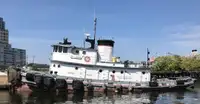 Tow boat pikeun dijual