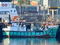 Purse seiner pikeun dijual