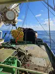 Purse seiner pikeun dijual