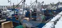 Pamawa lauk hirup pikeun dijual