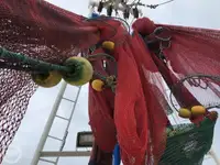 Kapal pancing trawler keur dijual
