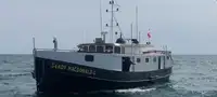 Tow boat pikeun dijual
