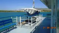 Ro-Ro ship pikeun dijual