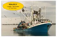 Kapal purse seiner keur dijual