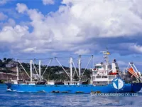 Kap reefer keur dijual