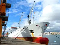 Reefer kapal pikeun dijual