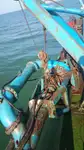 Kapal keruk keur dijual