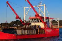 Kapal kerja keur dijual