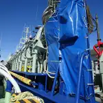Purse seiner pikeun dijual
