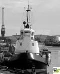 Tow boat pikeun dijual