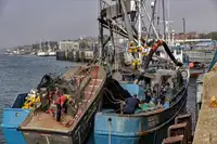 Kapal purse seiner keur dijual