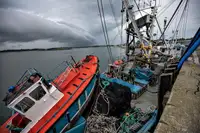 Kapal purse seiner keur dijual