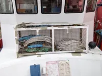 Kapal survei keur dijual