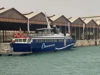 Kapal pesiar keur dijual