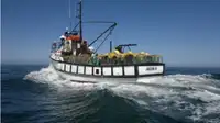 Trawler pikeun dijual