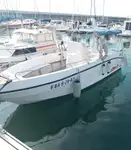 Kapal pesiar keur dijual