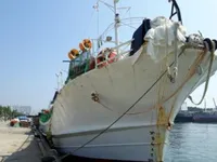 Kapal pancing cumi-cumi jigger keur dijual