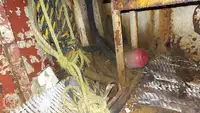 Kapal penarik keur dijual