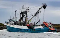 Kapal purse seiner keur dijual