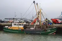 Trawler pikeun dijual