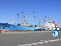Reefer kapal pikeun dijual