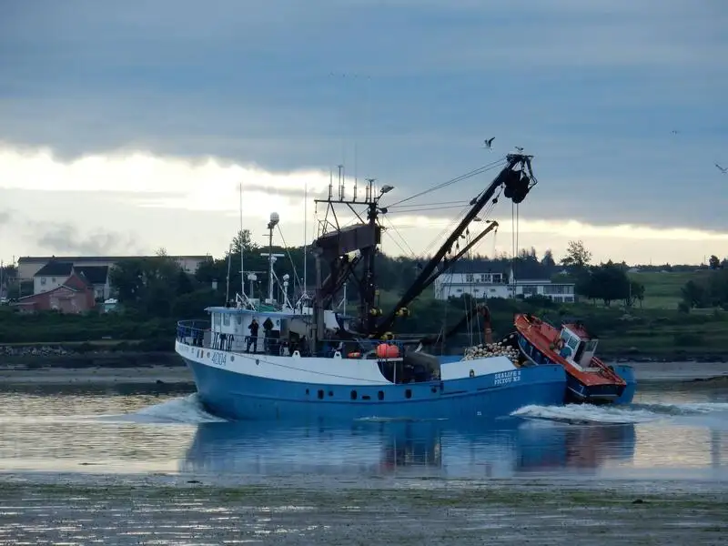 Kapal purse seiner keur dijual