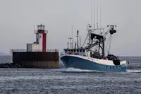 Kapal purse seiner keur dijual