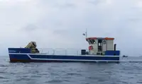 Tow boat pikeun dijual