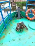 Kapal kerja keur dijual