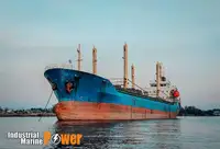 Pamawa bulk pikeun dijual