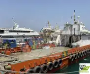 Kapal jasa ladang angin keur dijual