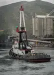 Tow boat pikeun dijual