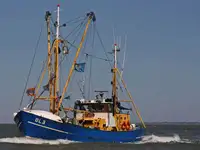 Kapal pancing trawler keur dijual