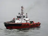Tow boat pikeun dijual
